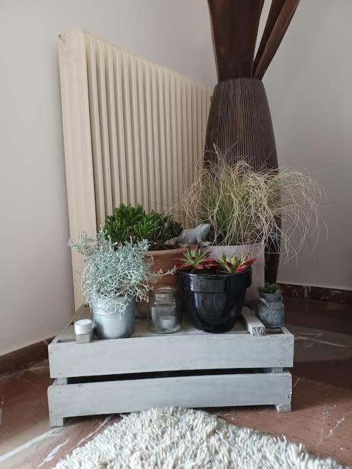 Apollo Apartment Athens/Airport Spata  Luaran gambar