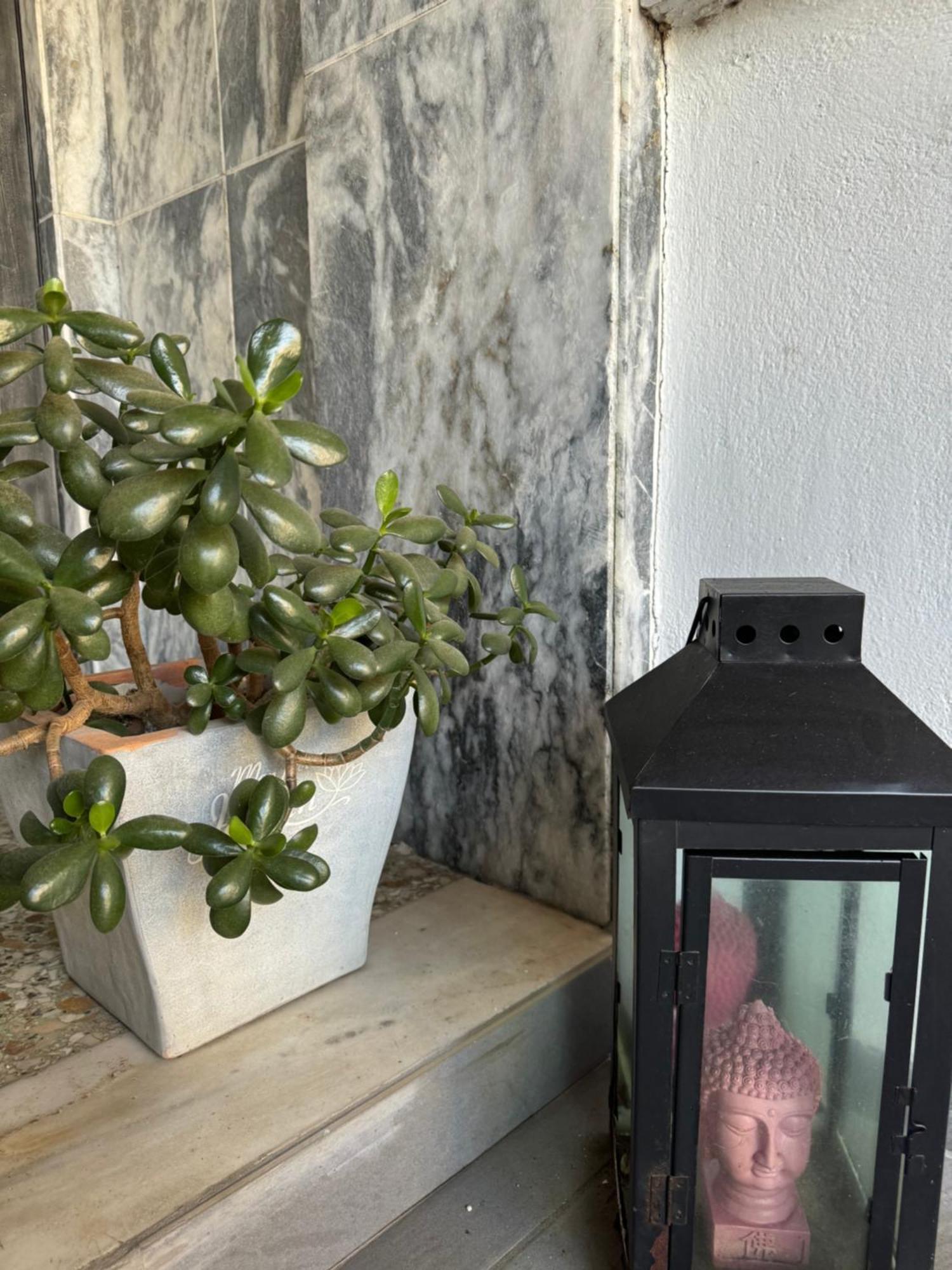 Apollo Apartment Athens/Airport Spata  Luaran gambar